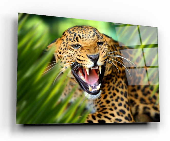 Leopar Uv Baskı Cam Tablo