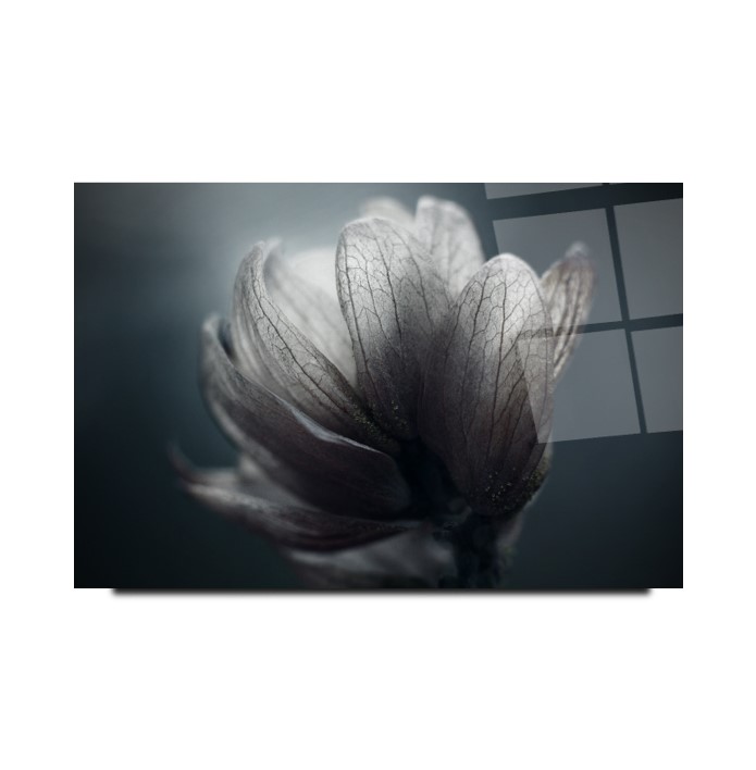 Çiçek Cam Tablo