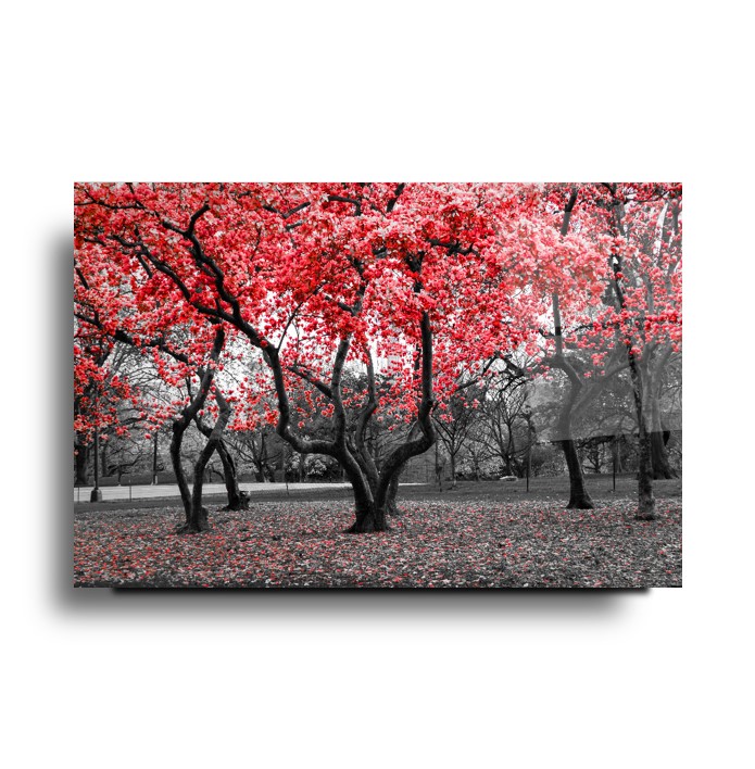 Kırmızı Orman Cam Tablo