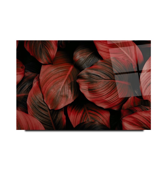 Kırmızı Yapraklar Cam Tablo