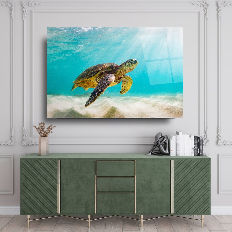 Kaplumbağa Cam Tablo