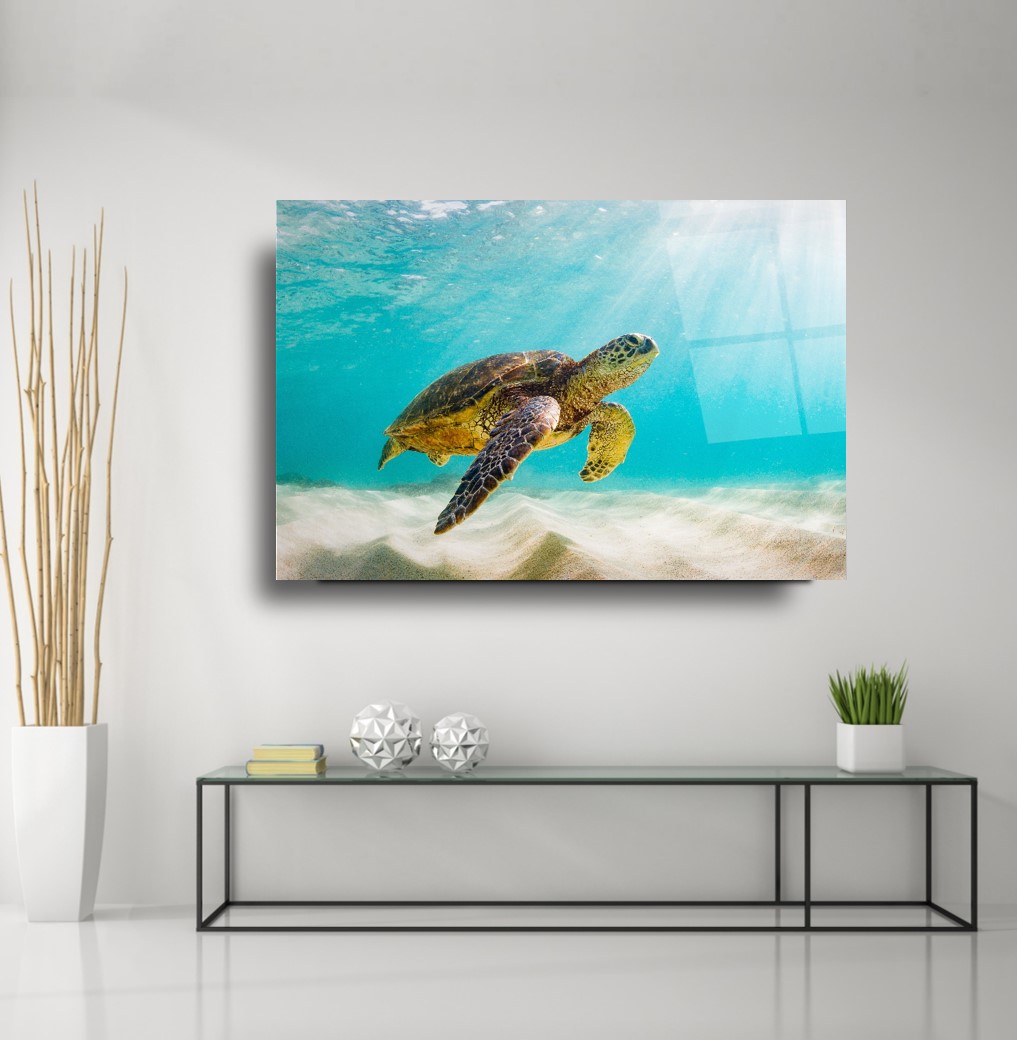 Kaplumbağa Cam Tablo