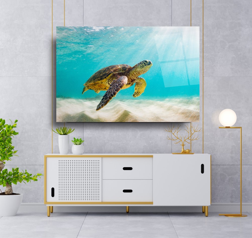 Kaplumbağa Cam Tablo
