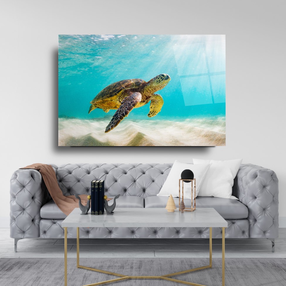 Kaplumbağa Cam Tablo