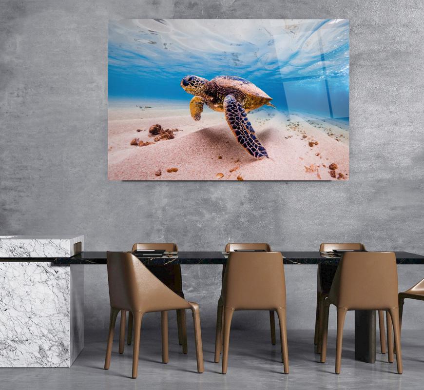 Deniz Kaplumbağası Cam Tablo