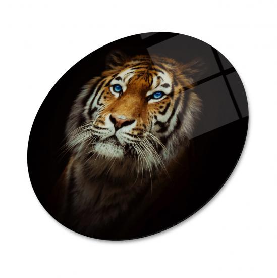 UV BASKI YUVARLAK CAM TABLOLAR